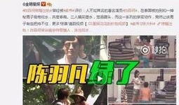 明星私事爆料情感视频播放,私事爆料视频引发热议