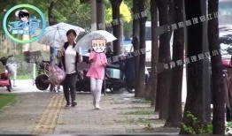 瓜主爆料娱乐圈孩子,娱乐圈星二代们的成长故事