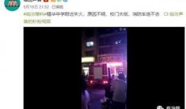 永福路爆料视频,揭秘真实事件背后的惊人真相